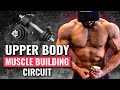 The Best UPPER BODY Workout For Muscle Building At Home