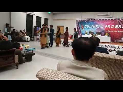 kamo kamo haber song