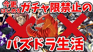 【ガチャ限禁止パズドラ実況】パズドラをガチャ限禁止で１から始めたらしんどすぎた件ｗｗｗｗｗ【パズドラ#1】