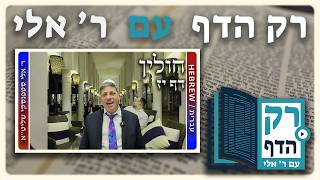 חזרה - חולין דף יז | "רק הדף" עם ר' אלי סטפנסקי