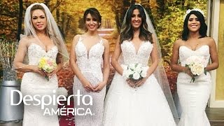 Las bellas de Despierta América lucieron sexys vestidos de novia