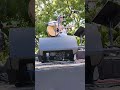 Glen Campbell I surrender ❤️