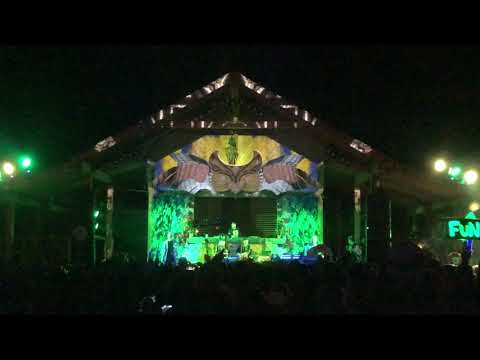Lazy Syrup Orchestra @ Shambhala Grove Stage Re-Union 2021