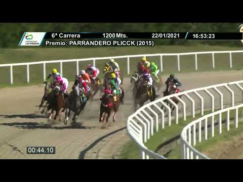 210122 c06 - CELESTIA - HIPODROMO LAS PIEDRAS