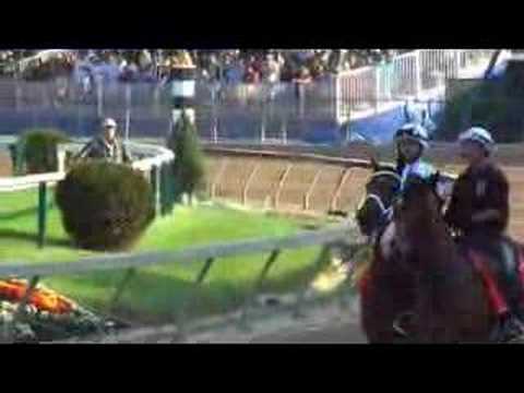 2008 PREAKNESS STAKES WINNER - BIG BROWN