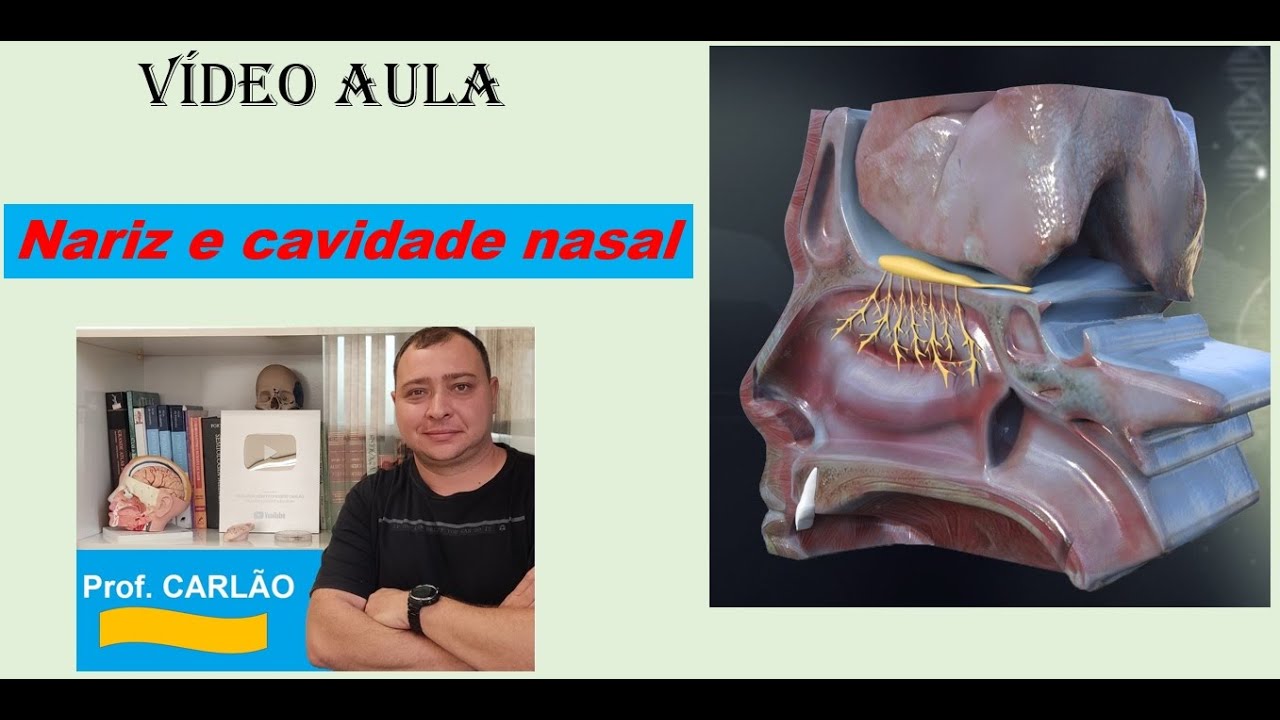 VÍDEO AULA NARIZ E CAVIDADE NASAL