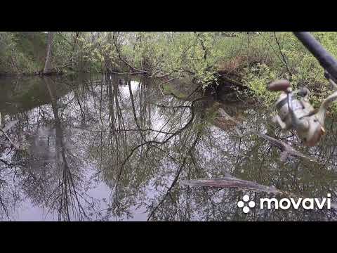 PESCUIT LA PLUTĂ LA BALTA ASCUNSĂ