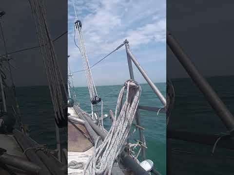 FdD running down to Dungeness 14 June 2025