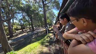 Melbourne Train 25 February 2025