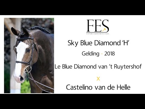 Sky Blue Diamond 'H'