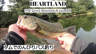 【バス釣り】スモラバ＆ジャークベイト【ダム】