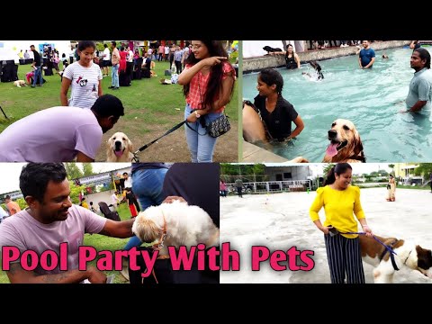 Nagpur Pool Party With Pets | Dog Show | Dog Adoption  | Special  Thanks to Dobby the Chef