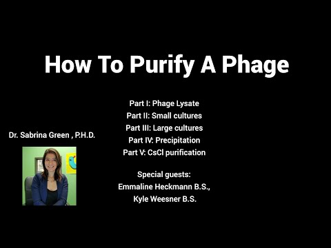 How To Purify A Phage