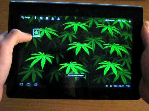 My Ganja Live Wallpaper Video