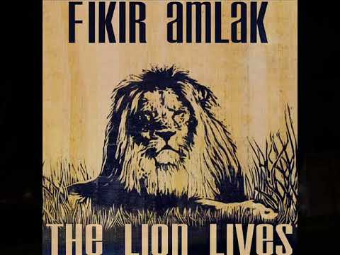 Fikir Amlak    Lioness  2012