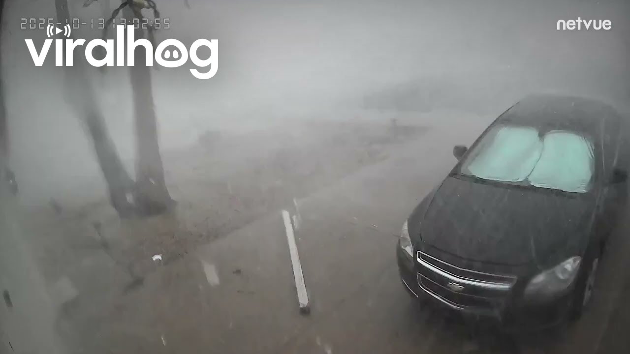 Security Camera Footage of Tempe, Arizona Microburst || ViralHog