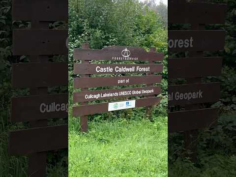 Diary Entry~Castle Caldwell Forest, Enniskillen, Northern Ireland 🌿#castleruins #forest #enniskillen