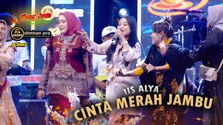 Download lagu CINTA MERAH JAMBU - IIS ALYA OM WONGJOWO x DHEHAN AUDIO 'SULTAN JABON SIDOARJO' mp3 Download lagu CINTA MERAH JAMBU - IIS ALYA OM WONGJOWO x DHEHAN AUDIO 'SULTAN JABON SIDOARJO' mp3