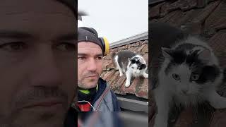 Hilarious Man Mimics Cat