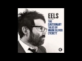 The Eels - Mistakes Of My Youth 