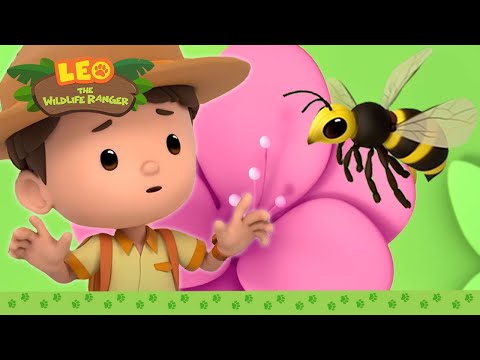 Witness21  2023 09 29