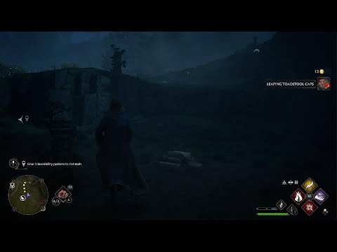 Hogwarts Legacy PS5 Walkthrough Gameplay Part 11
