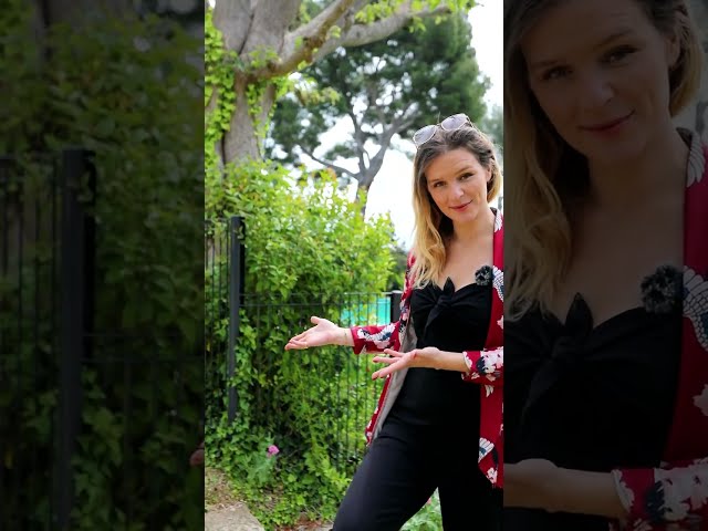 Média de iad France - Juliette Lamarque d'arrouzat - n°3