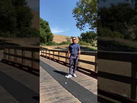 Bridge in Penalty Area