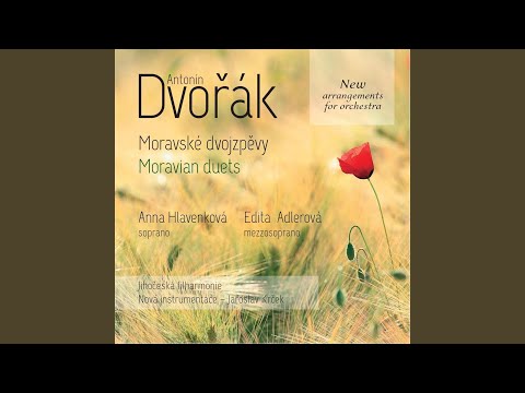 Moravske Dvojzpevy, Op. 32: No. 13, Šípek