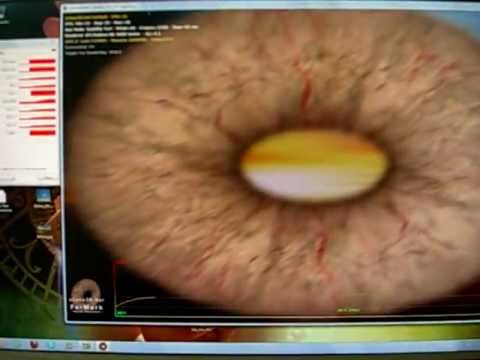 ATI Radeon 5850 overheating artifacts