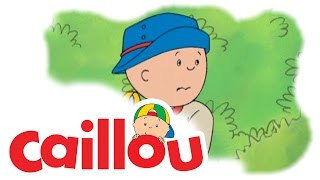 Caillou - Caillou the Jungle Explorer  (S01E62)