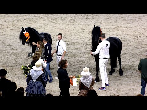 HK 2023 | Rubriek 8 | Jimte 533 en Hildwin 528