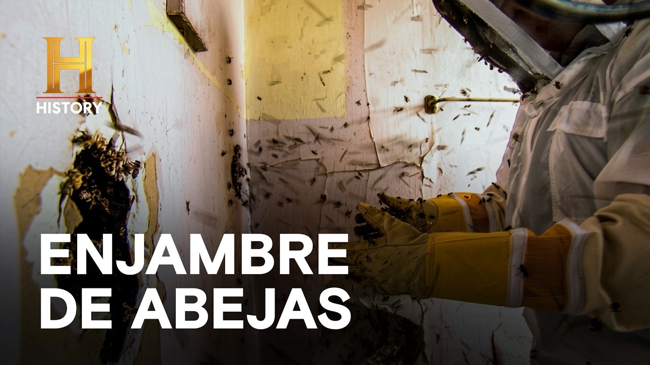 ENJAMBRE DE ABEJAS - No les importa que picar - MONSTRUOS LEGENDARIOS