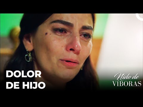 Tiempo De Luto  - Nido De Víboras