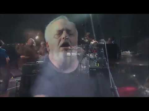 Ween Lockn' Festival August 25, 2016