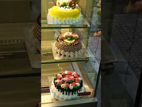 Universal cake & pastry Bhatena, surat
