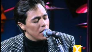 Los Temerarios, Creo Que Voy a Llorar, Festival de Viña 1993