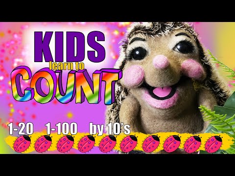 Counting FUN // 1-20 // 1-100 // Count by 10 // Kids English Number Learning with Missy May Hedgehog