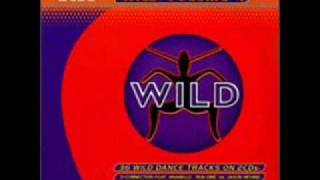 Wild FM vol.4 CD1 Track 15