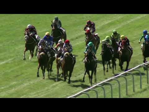 Oostende Koerse 2025 | Koers 5 | Maandag 25 augustus