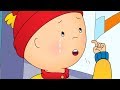 Caillou Goes Shopping And Cries Funny Animated Cartoons Kid WATCH ONLINE Videos For Kids
