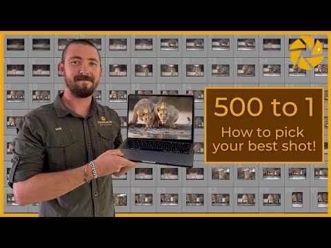 How to Cull Photos Like a Pro!