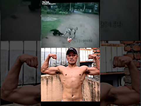 monkey vs dog bombastic#bombastic