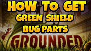 How to Get Green Shield Bug Parts in Grounded