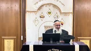 הרב שלמה לווינשטיין שליט״א הושענא רבא תשפ״ז יוסף תהילות יבנה