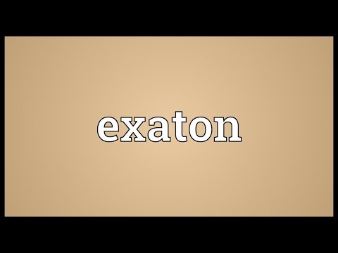 Exaton Meaning