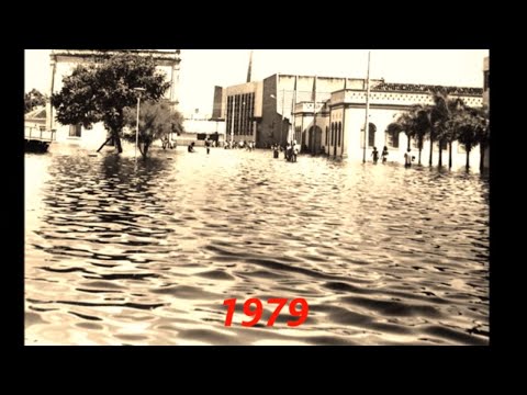 Januária, suas águas, sua gente, nossa história. - P 185.