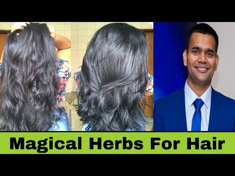 Natural bhringraj powder for hair growth (200 g), 200 gm