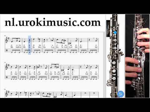 Hoboles Harry Potter - Hedwig's Theme Muzieknoten Cursus um-i374