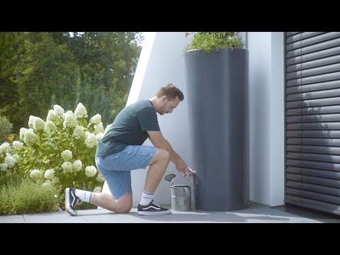 STONE 2in1 